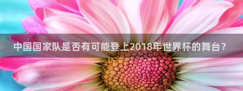 世界杯预选赛亚洲区积分榜：中国国家队是否有可能登上2018年世界杯的舞台？