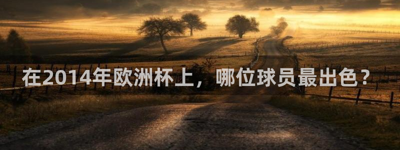 2026世界杯对阵图:在2014年欧洲杯上,哪位球员最出色?