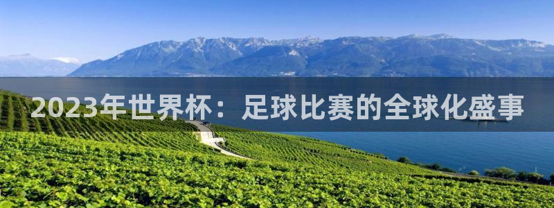 2026年男足世界杯：2023年世界杯：足球比赛的全球化盛事