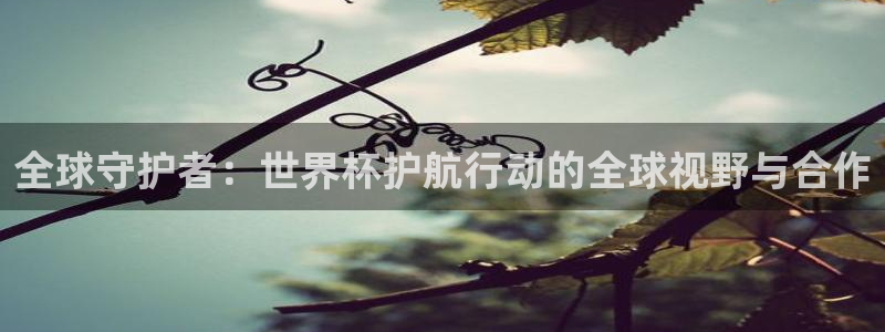 世界杯足球赛2026：全球守护者：世界杯护航行动的全球视野与合作