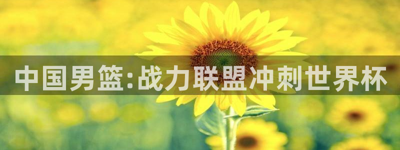 亚洲杯足球：中国男篮:战力联盟冲刺世界杯