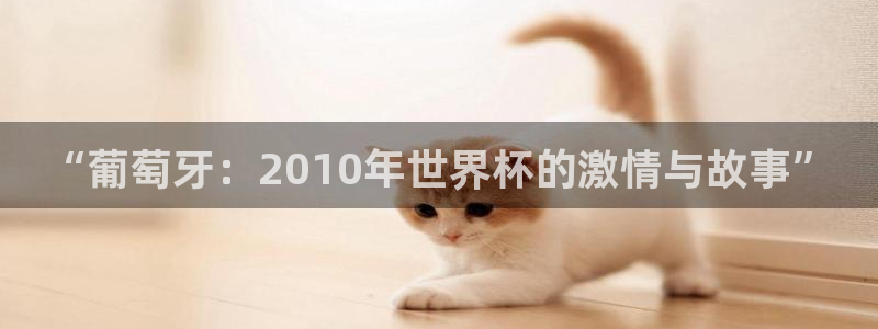 2006世界杯：“葡萄牙：2010年世界杯的激情与故事”