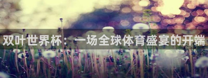 世界杯女足直播：双叶世界杯：一场全球体育盛宴的开端