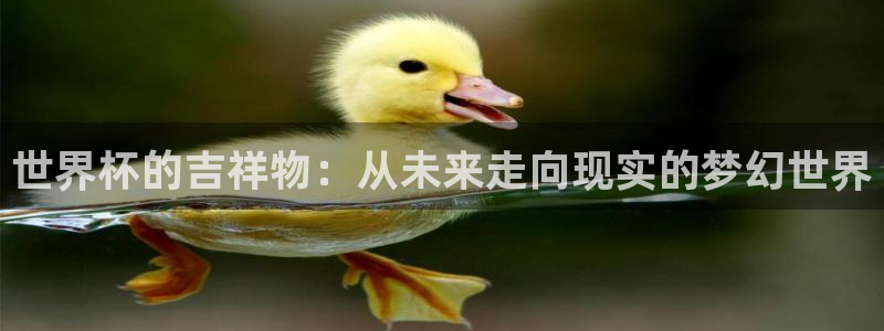 世界杯预选赛亚洲区积分榜：世界杯的吉祥物：从未来走向现实的梦幻世界