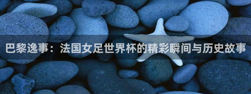世界杯直播在线观看入口：巴黎逸事：法国女足世界杯的精彩瞬间与历史故事