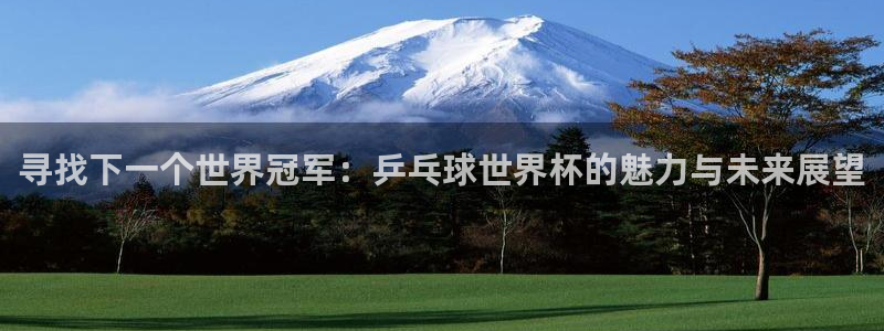 世界杯：寻找下一个世界冠军：乒乓球世界杯的魅力与未来展望