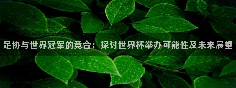 世界杯女足直播：足协与世界冠军的竞合：探讨世界杯举办可能性及未来展望