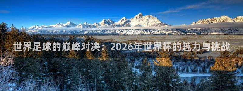 足球世界杯时间：世界足球的巅峰对决：2026年世界杯的魅力与挑战