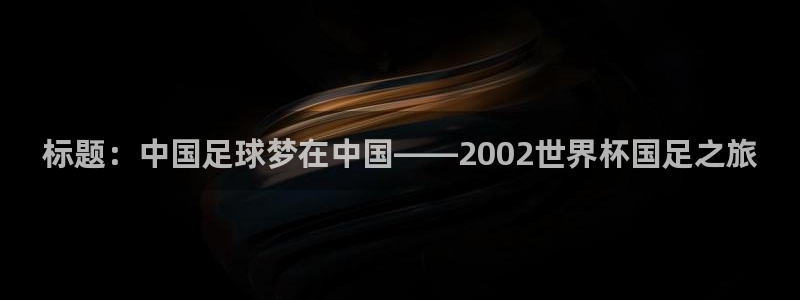 世界杯2026赛程：标题：中国足球梦在中国——2002世界杯国足之旅