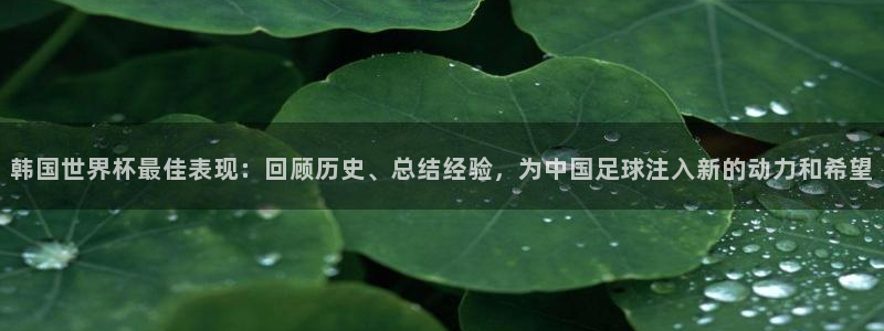 世界杯预选赛欧洲区赛程：韩国世界杯最佳表现：回顾历史、总结经验，为中国足球注入新的动力和希望