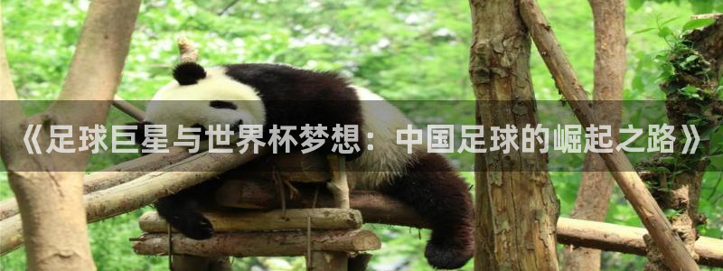 2026足球世界杯：《足球巨星与世界杯梦想：中国足球的崛起之路》