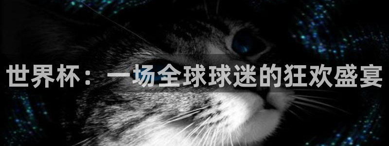 2026世界杯亚洲区预选赛：世界杯：一场全球球迷的狂欢盛宴