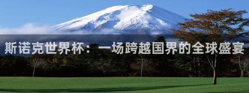 国际足联世界杯：斯诺克世界杯：一场跨越国界的全球盛宴